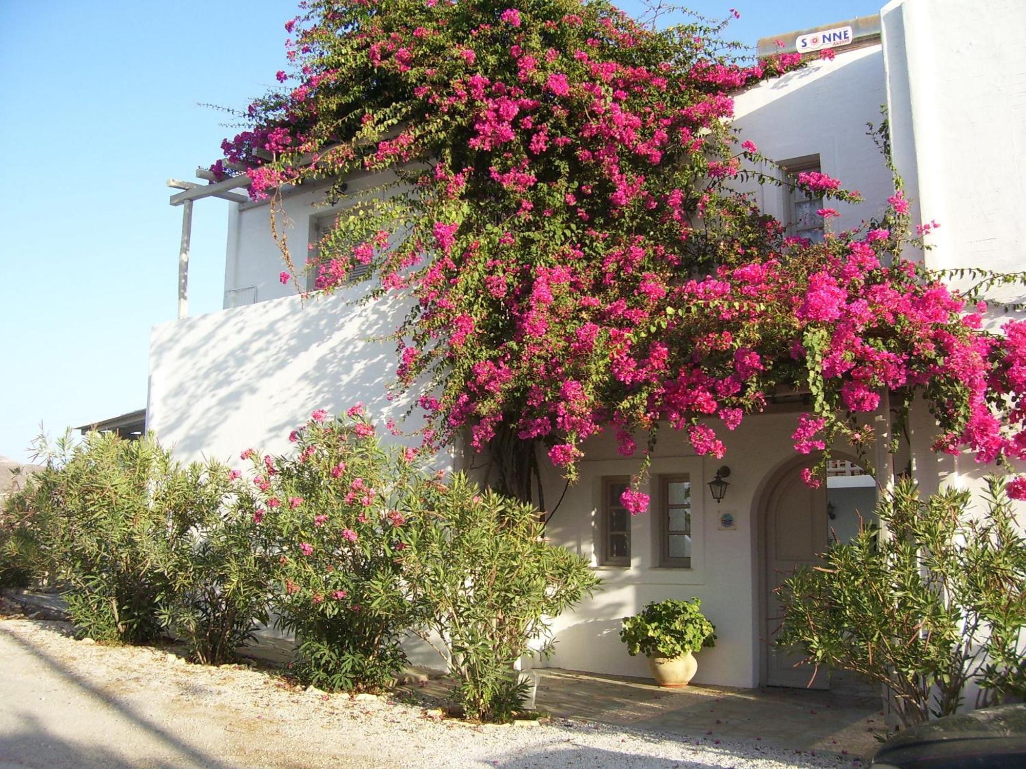 Despina'S Mare Naousa Exterior foto