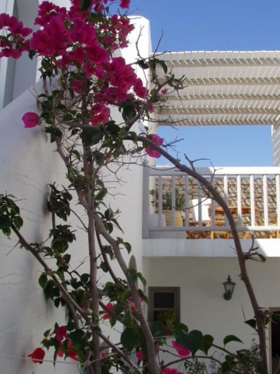 Despina'S Mare Naousa Exterior foto